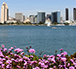 San Diego Downtown Skyline in Spring